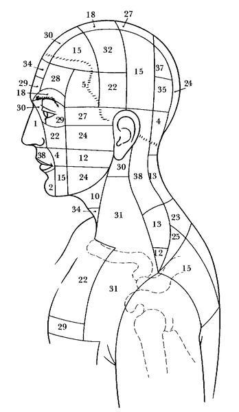 New Bach Flower Body Maps - a new concept