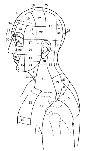 Bach Flower Body Maps