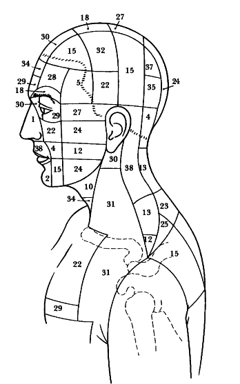 Bach Flower Body Maps