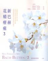 Taiwanesische Ausgabe 3