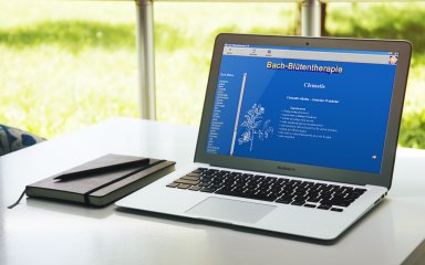 Freeware Bachblütentherapie