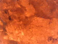 Spessartin