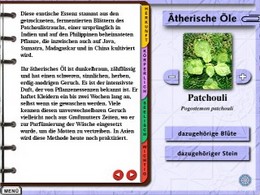 Menü ätherische Öle - Bitte klicken zum Vergrößern Aromatherapie