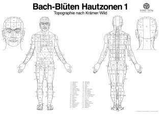 Bachblüten Hautzonen 1