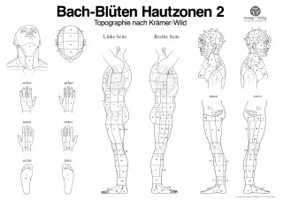 Bachblüten Hautzonen 2